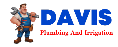 Trusted plumber in LA POINTE